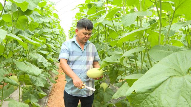 Bắc Giang hôm nay: Từ con đường bê tông đến những vườn dưa xanh