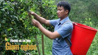 Đồng Yên, Tuyên Quang những trái ngọt mang lại ấm no cho người dân