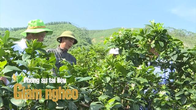 Tín dụng chính sách – “Trụ đỡ” vững chắc trong hành trình giảm nghèo ở Phú Thọ