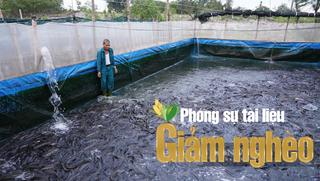 Mô hình nhỏ – hiệu quả lớn: Giảm nghèo từ nuôi cá lóc, ong mật ở xã Vĩnh Hoàng, tỉnh Quảng Trị