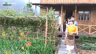 Cô gái trẻ Bạch Hà tiên phong đưa du lịch trải nghiệm về quê hương. 