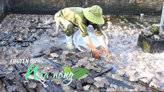 Chuyển động nhà nông 5/9/2025: Lão nông Nghệ An “đánh liều” nuôi ếch Thái Lan, thu nửa tỷ đồng mỗi năm