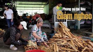 Phúc Lợi xanh màu no ấm nhờ phát triển kinh tế từ rừng