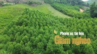Tuyên Quang: Những bước chân Kiểm lâm "không mỏi" cùng nông dân biến rừng thành sinh kế bền vững