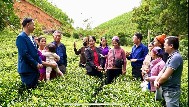 Thái Nguyên: Tập huấn sử dụng phân hữu cơ giúp cải tạo đất, nâng cao năng suất cây trồng cho nông dân xã Văn Hán loading=