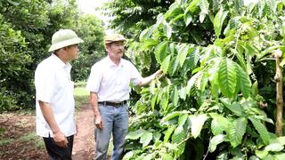 Hội Nông dân – Điểm tựa để Đắk Lắk bứt phá trong xây dựng nông thôn mới