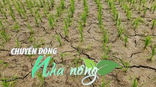 Chuyển động Nhà nông 3/5: Nông dân miền núi Quảng Ninh “khát nước” giữa mùa gieo cấy