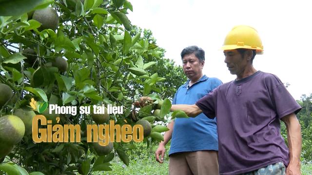 Từ nghèo khó đến thu nhập hàng trăm triệu: Hành trình thoát nghèo "ngoạn mục" của nông dân miền núi Điện Biên loading=
