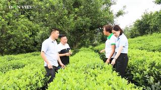 Nâng cao giá trị sản phẩm nông nghiệp, giải pháp thực hiện có hiệu quả chương trình xóa đói giảm nghèo ở huyện vùng cao