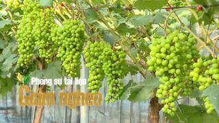 Làm nông nghiệp an toàn, chìa khóa thoát nghèo bền vững ở Điện Biên