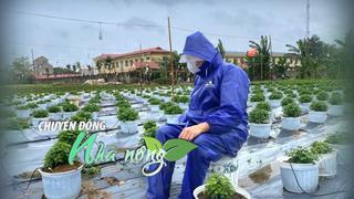 Chuyển động Nhà nông 8/11: Nông dân “chạy đua” khôi phục sản xuất sau mưa lũ