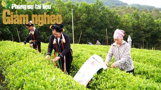 Dấu ấn giảm nghèo đa chiều từ “đánh thức” nội lực nông thôn ở Thành Công, Thái Nguyên