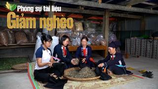 Phú Lương (Thái Nguyên): Phát huy vai trò của Mặt trận Tổ quốc trong công tác giảm nghèo bền vững