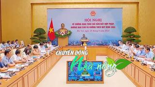 Chuyển động Nhà nông 29/8: Thủ tướng yêu cầu xử lý nghiêm trách nhiệm người đứng đầu trong chống khai thác IUU 