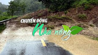 Chuyển động Nhà nông 26/8: Bắc Kạn mưa lớn, sạt lở đất gây thiệt hại khoảng 2 tỷ đồng