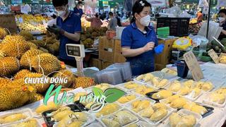 Chuyển động Nhà nông 25/10: “Vua của các loại trái cây” mang về 1,6 tỷ chỉ trong 2 tháng