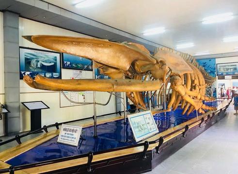 Bí mật bên trong "thư viện" lưu trữ 20.000 mẫu vật biển lớn nhất Việt Nam loading=