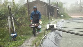 Người nuôi tôm Thanh Hóa gồng mình ứng phó bão số 3: "Chỉ mong đàn tôm không bị sốc nước"