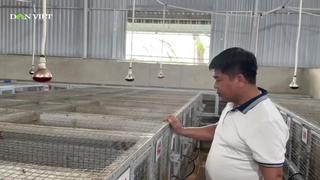 Gặp gỡ "vua cầy hương" ở xứ Thanh