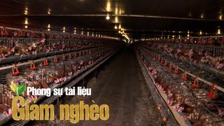 Xã Toàn Lưu – Điểm sáng giảm nghèo bền vững từ nông nghiệp công nghệ cao ở Hà Tĩnh