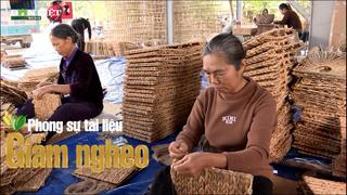 Khi “sợi cói” trở thành “sợi chỉ vàng” dệt nên cuộc sống ấm no cho người dân xã Phát Diệm, tỉnh Ninh Bình