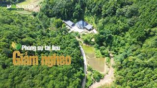 Giữa đại ngàn Tây Bắc, nông dân Bảo Hà, Lào Cai trồng “vàng xanh” đánh thức đại ngàn