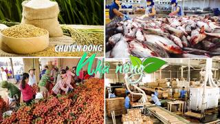 Chuyển động Nhà nông 26/10: Xuất khẩu nông lâm thủy sản năm 2024 có thể vượt 60 tỷ USD
