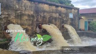 Chuyển động Nhà nông 19/7: Trước bão WIPHA, Ninh Bình chủ động chống úng, ngập để bảo vệ lúa mới gieo cấy