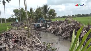 Nông dân miền Tây phát huy kinh nghiệm né mặn