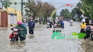 Chuyển động Nhà nông 24/10: Quảng Nam dự kiến sơ tán hàng trăm ngàn dân nếu bão Trami đổ bộ mạnh
