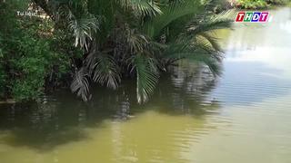 Triều cường khiến mặn lấn sâu vào nội đồng ở Kiên Giang