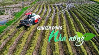 Chuyển động Nhà nông 7/10: Chuyển đất trồng lúa sang đất ở trái phép bị phạt đến 400 triệu đồng