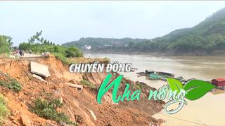 Chuyển động Nhà nông 16/10: Sạt lở bờ sông, uy hiếp nhiều tuyến đê ven sông ở Đoan Hùng (Phú Thọ)