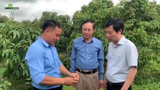Từ vùng vải chín sớm đến trang trại trứng OCOP: Nông dân Quảng Ninh gây ấn tượng với lãnh đạo TƯ HND Việt Nam
