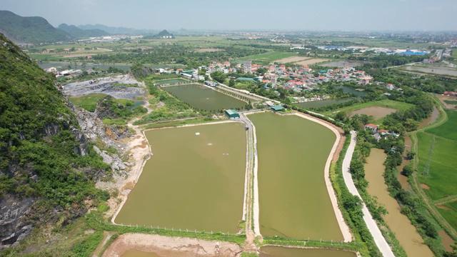 Ninh Bình: Nông dân bắt nhịp chuyển đổi số, đưa mô hình “cá sông trong ao” thành điểm sáng nông thôn mới