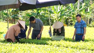 Xã Nam Hoà (tỉnh Thái Nguyên): Nâng cao nhận thức pháp luật, gắn sản xuất an toàn với xây dựng nông thôn mới