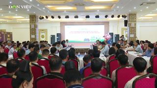 Nông lâm kết hợp - Du lịch sinh thái: Giải pháp tăng thu nhập cho nông dân vùng cao