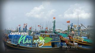 Chuyển động Nhà nông 1/11: Lâm Đồng xử lý dứt điểm 100% tàu cá mất kết nối VMS