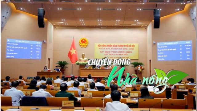 Chuyển động Nhà nông 19/11: Hà Nội chi thêm hơn 37 tỷ đồng hỗ trợ sau cơn bão số 3 loading=