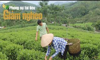 Đổi thay trên quê hương cách mạng Tân Trào ở Tuyên Quang