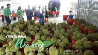 Chuyển động Nhà nông 29/10: Nỗi lo của nông dân Đồng Nai, Tây Ninh sau vụ gần 2.000 container sầu riêng bị ùn ứ