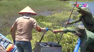 Câu cá lóc "khủng" và ngắm bèo tai tượng nhuộm vàng ở VQG U Minh Thượng