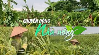 Chuyển động Nhà nông 20/9: Cảnh báo đợt lũ lớn trên các sông từ Thanh Hóa đến Quảng Trị