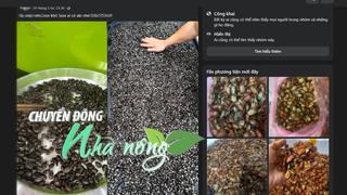 Chuyển động Nhà nông 22/5: Lại xuất hiện hiện tượng mua bán bọ xít đen, xác ve sầu,... với giá cao trên mạng xã hội