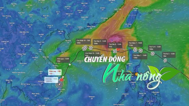 Chuyển động Nhà nông 12/11: Các địa phương quản lý chặt chẽ tàu thuyền ra khơi để ứng phó bão số 8  loading=