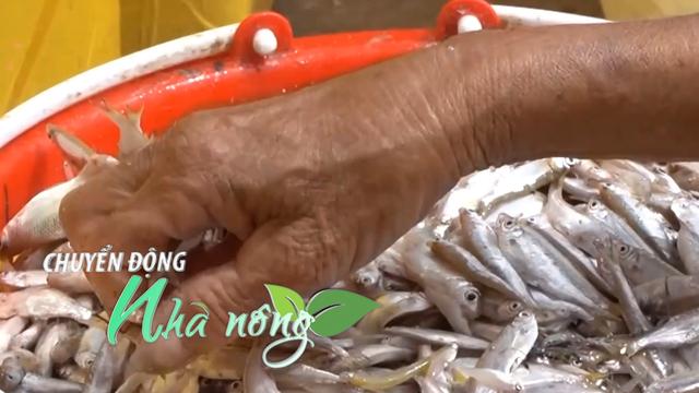 Chuyển động Nhà nông 28/11: Lũ rút, cá tôm nhiều, nông dân thượng nguồn mừng rỡ