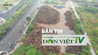 Bản tin Dân Việt TV 16/10: Hàng tấn gỗ cây xanh ngã đổ sau bão Yagi được tập kết, kéo dài hàng trăm mét