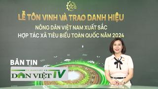 Bản tin Dân Việt TV 15/10: Chương trình Tự hào Nông dân Việt Nam 2024 - niềm kiêu hãnh của nông dân Việt