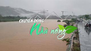 Chuyển động Nhà nông 9/9: Đợt lũ lớn ở Bắc Bộ và Thanh Hóa gây thiệt hại lớn về người và tài sản