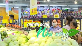 Chuyển động Nhà nông 13/9: Siêu thị tăng nguồn cung thực phẩm từ miền Nam ra miền Bắc